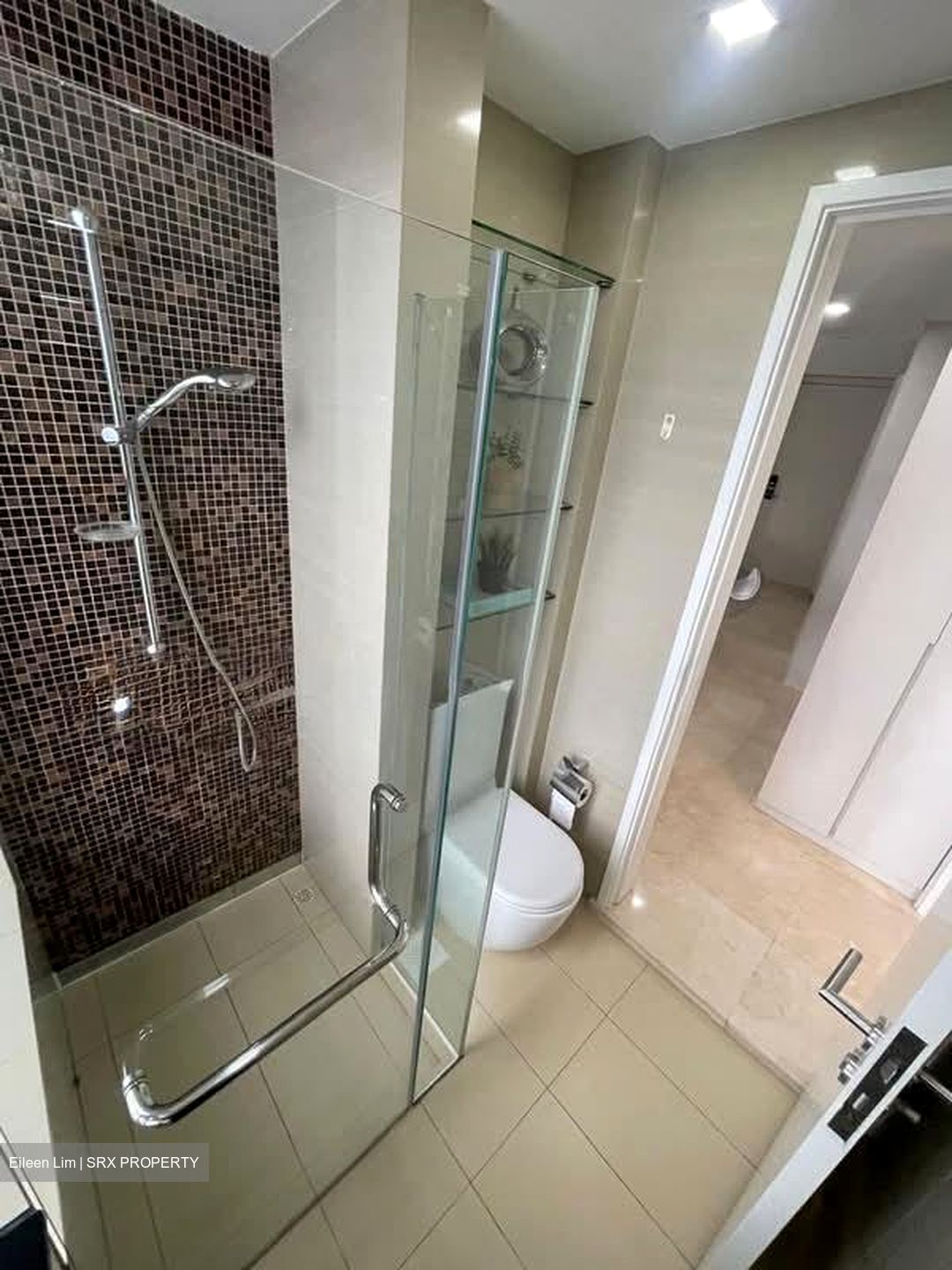 Angullia Park Residences @ Orchard (D10), Apartment #580296511